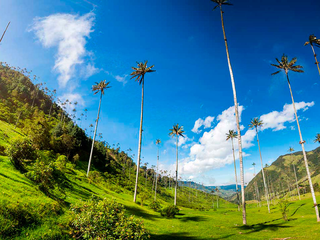 Paisaje cultural y cafetero
