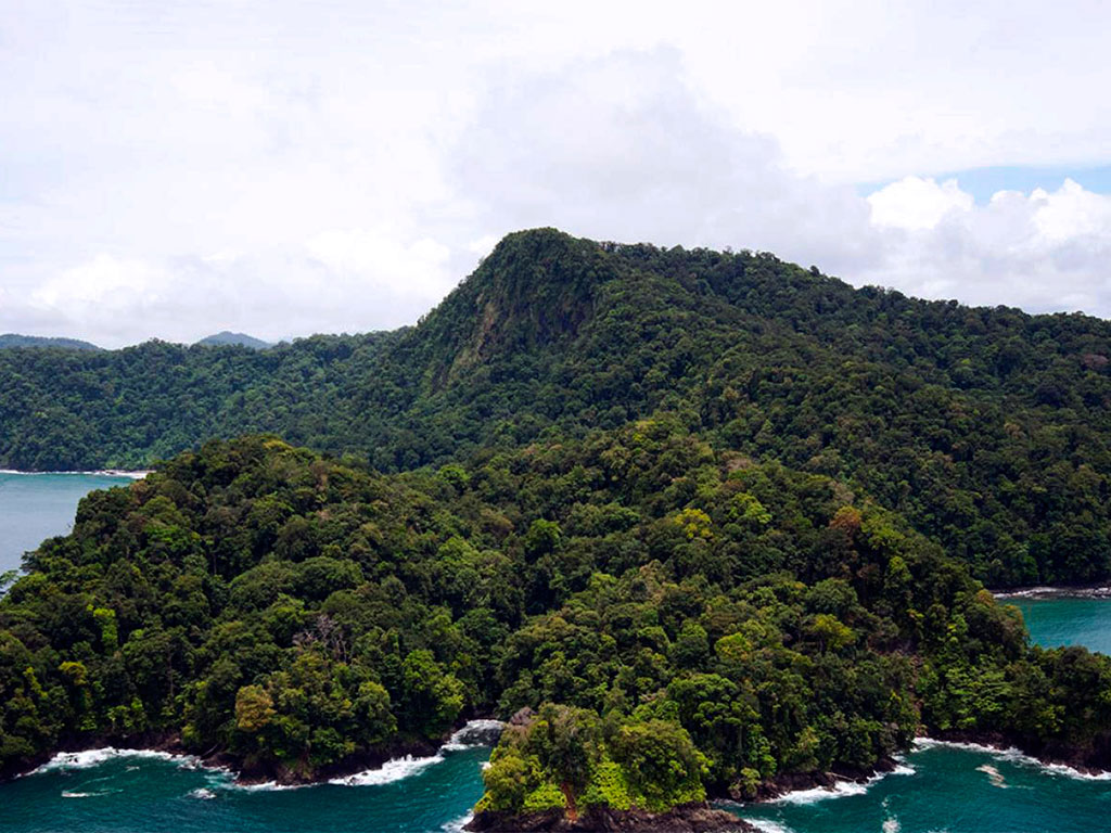 Pacífico mágicoBahía Solano