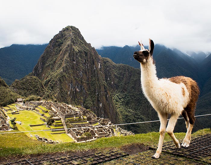 Cusco con pernocte en Machu Picchu