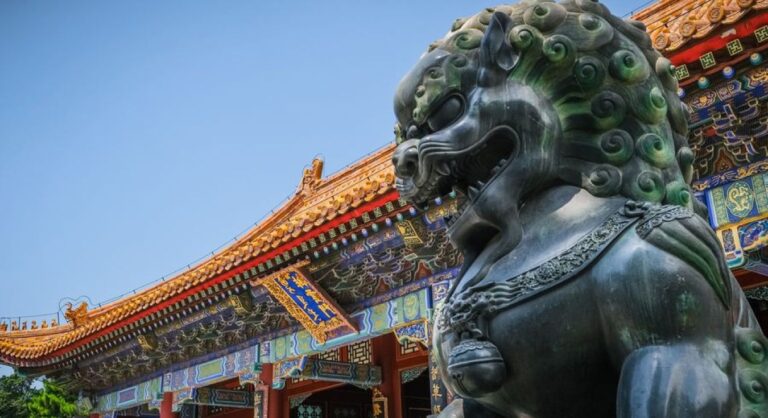 Lo mejor de china Lo mejor de china