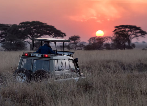 Safari Sudafricano Safari Sudafricano