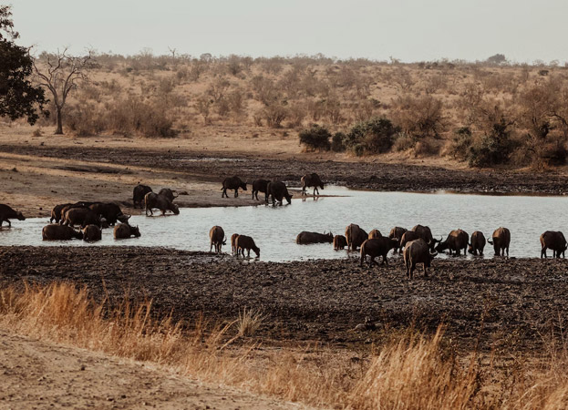 Sudáfrica La Gran Aventura Sudáfrica La Gran Aventura