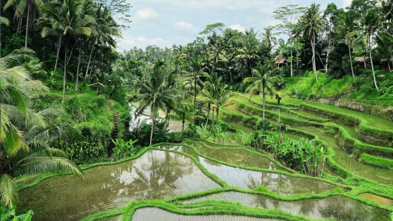 Tailandia y Bali 16 Días con Estambul y Tiquetes