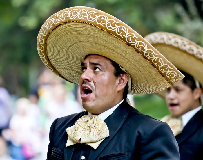 Tequila y Mariachi Tequila y Mariachi