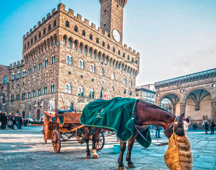 Tour Renacimiento y Roma Tour Renacimiento y Roma