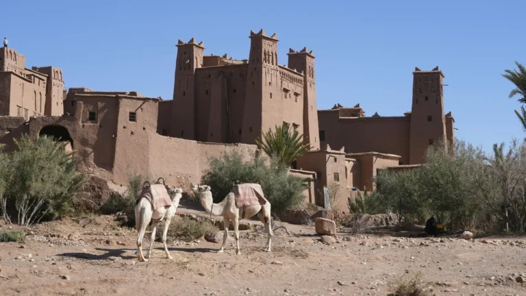 Espana-y-Marruecos-en-Fin-de-Ano-14-Dias-por-Madrid-y-Marrakech