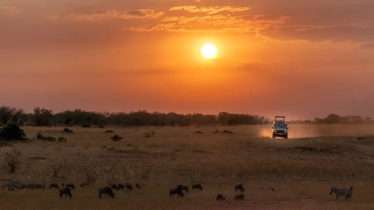 Safari en África con Turquía en 2027 14 Días por Masái Mara y el Bósforo